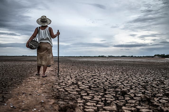 how to deal with drought